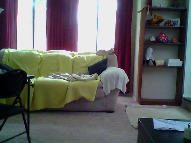 DLink_Camera_Watching_Dog