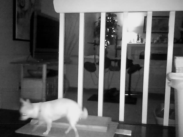 D-Link Wi-Fi Cloud Camera Review Night Vision Test